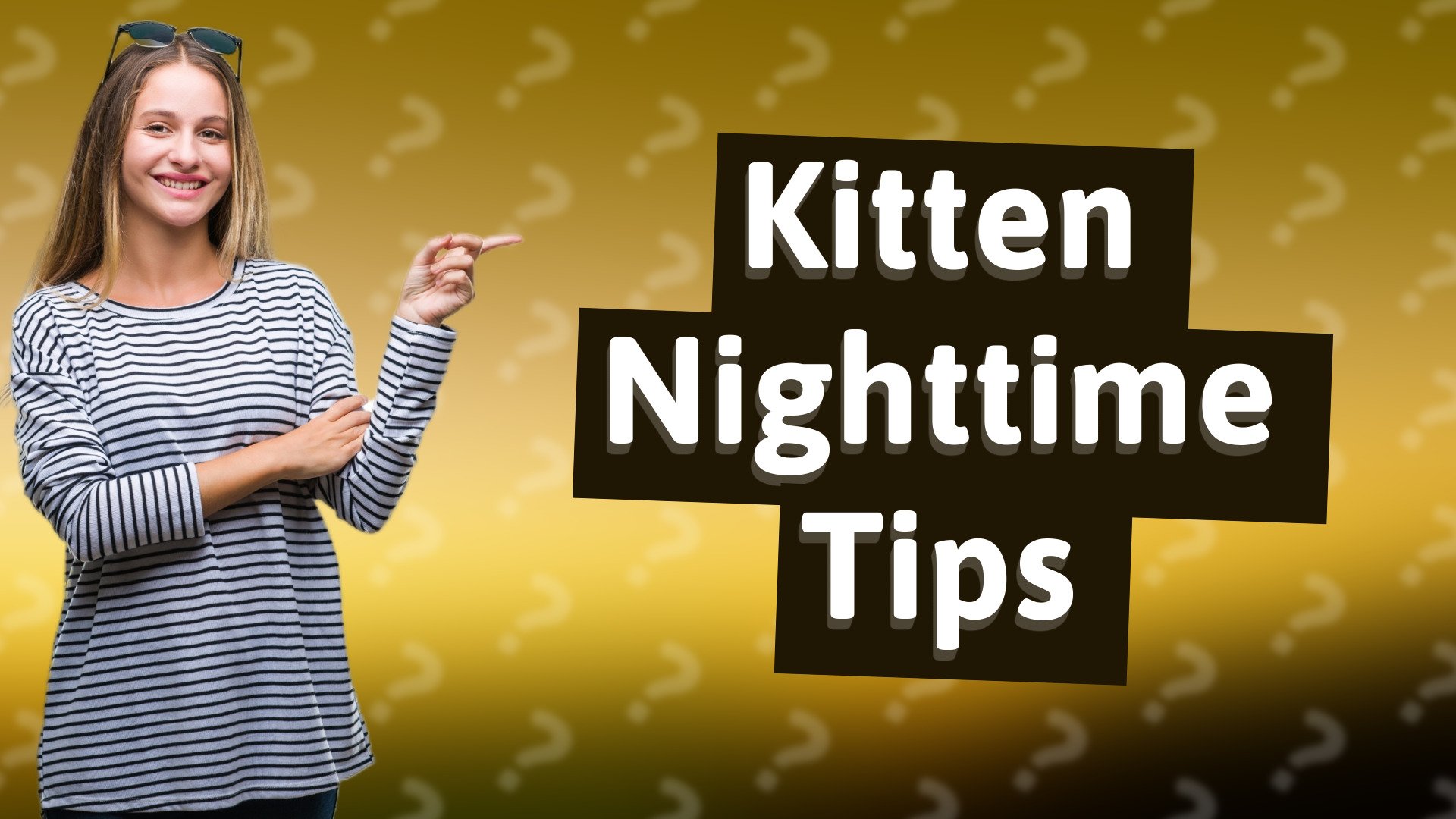 Kitten Nighttime Tips