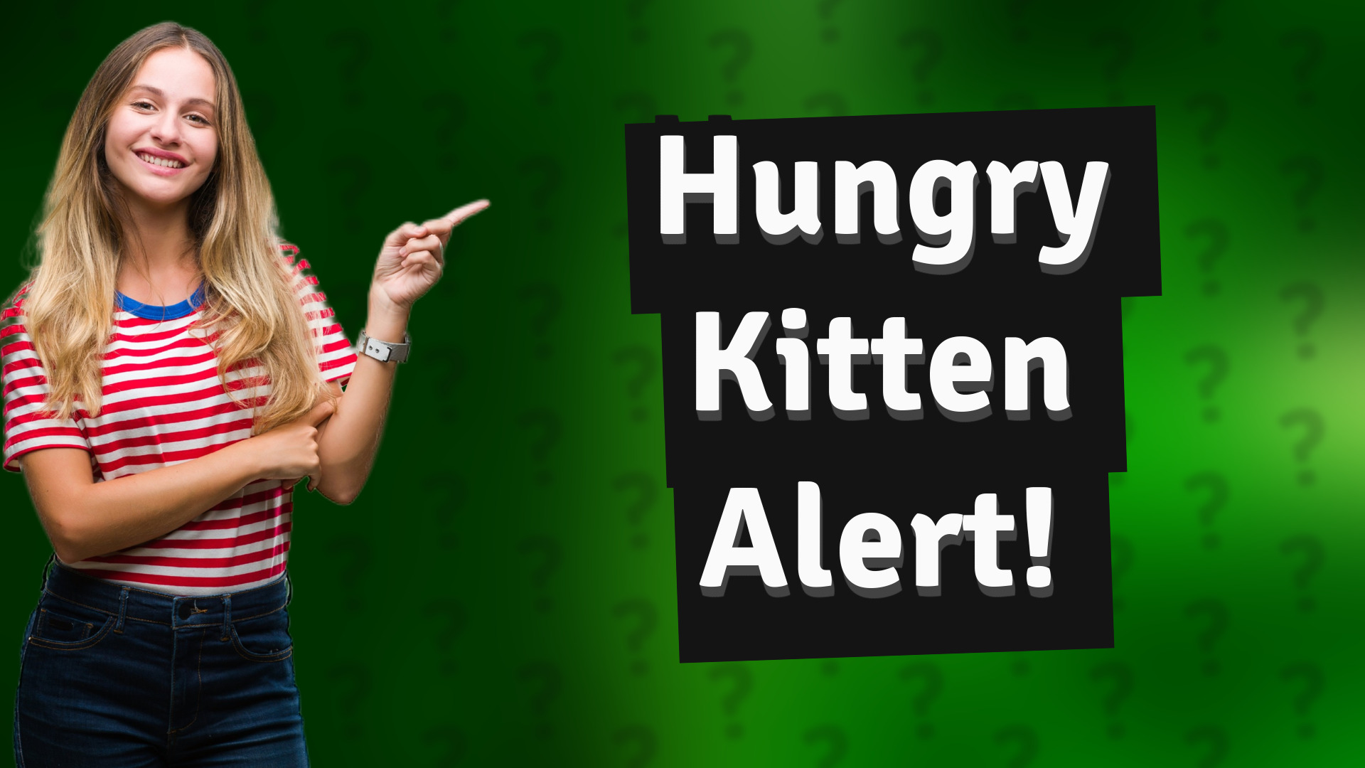 Hungry Kitten Alert!