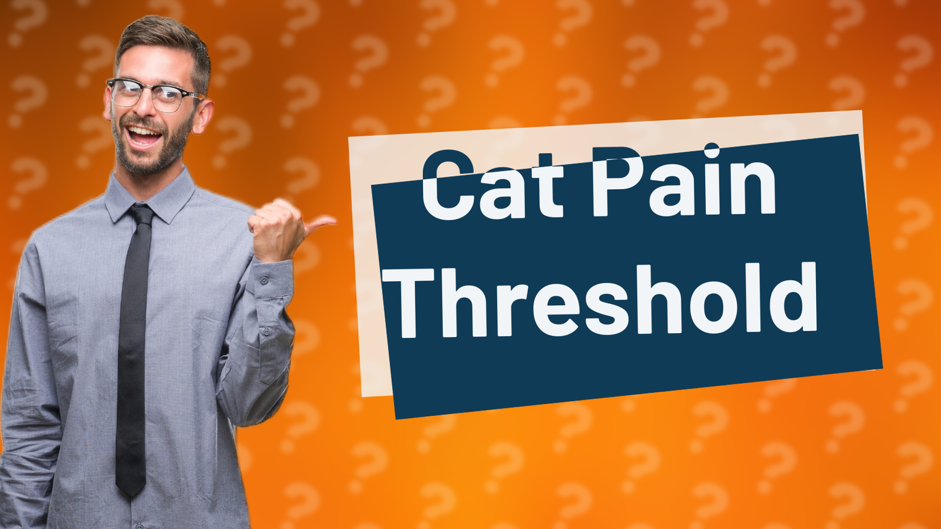 Cat Pain Threshold