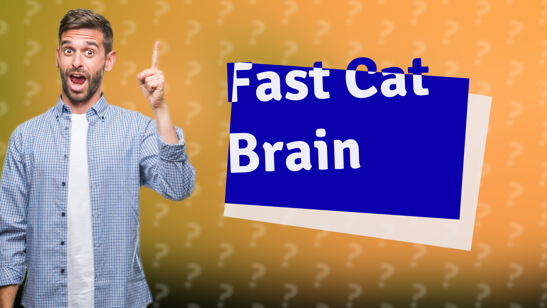 Fast Cat Brain