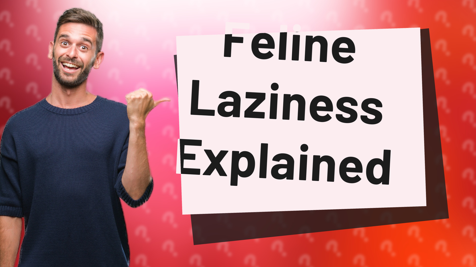 Feline Laziness Explained