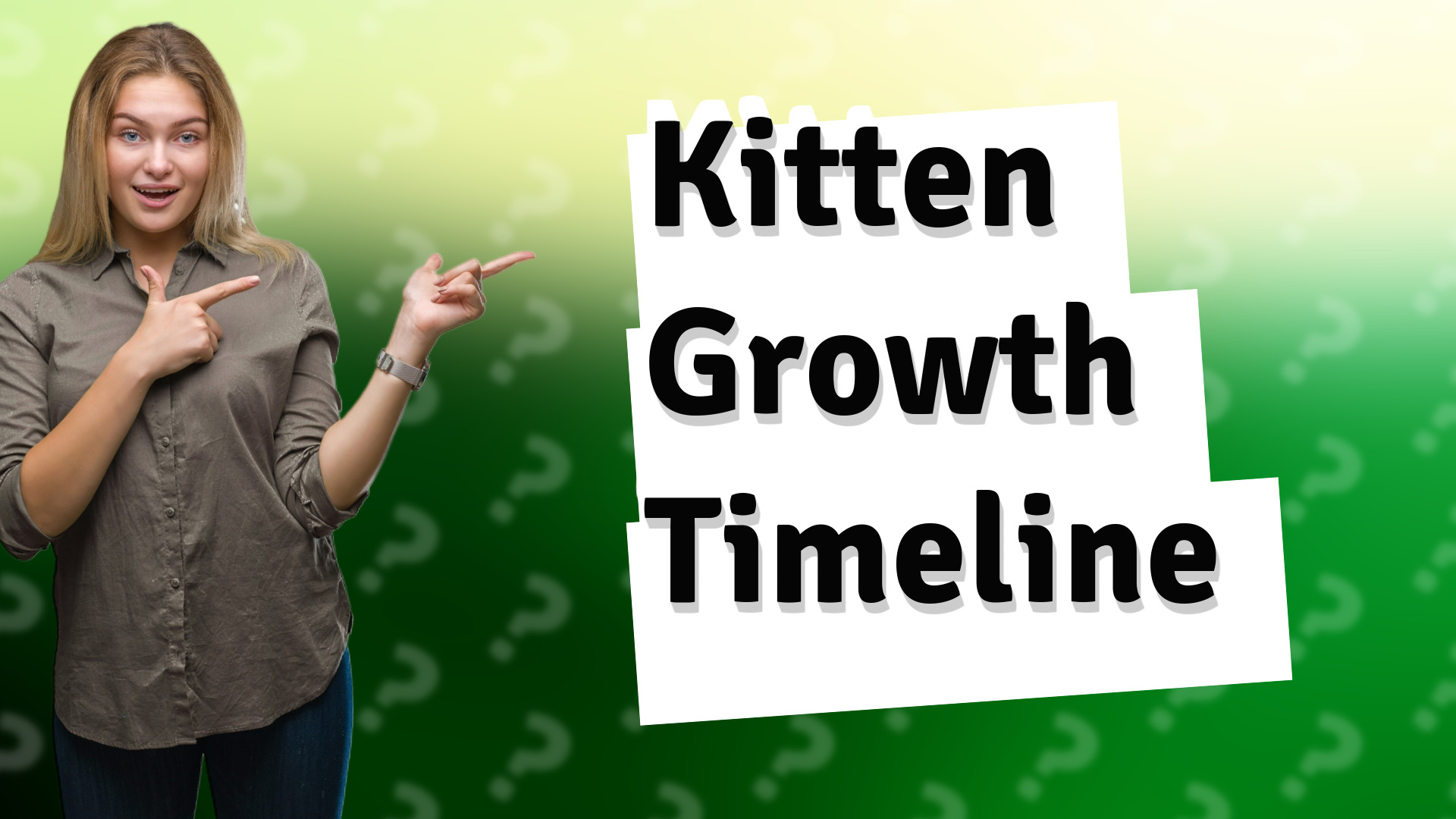 Kitten Growth Timeline