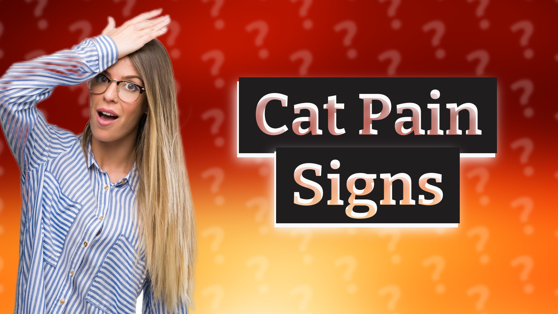 Cat Pain Signs