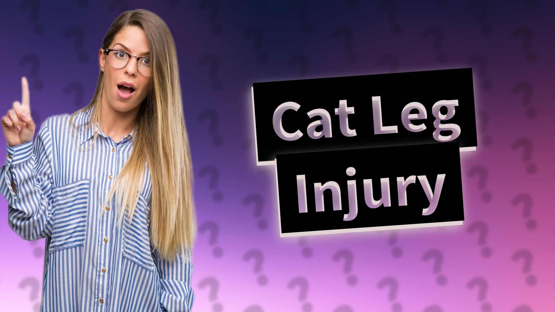 Cat Leg Injury