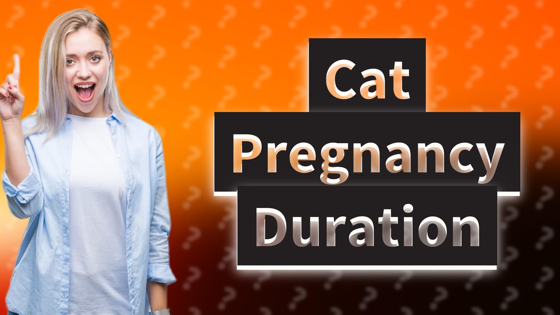 Cat Pregnancy Duration