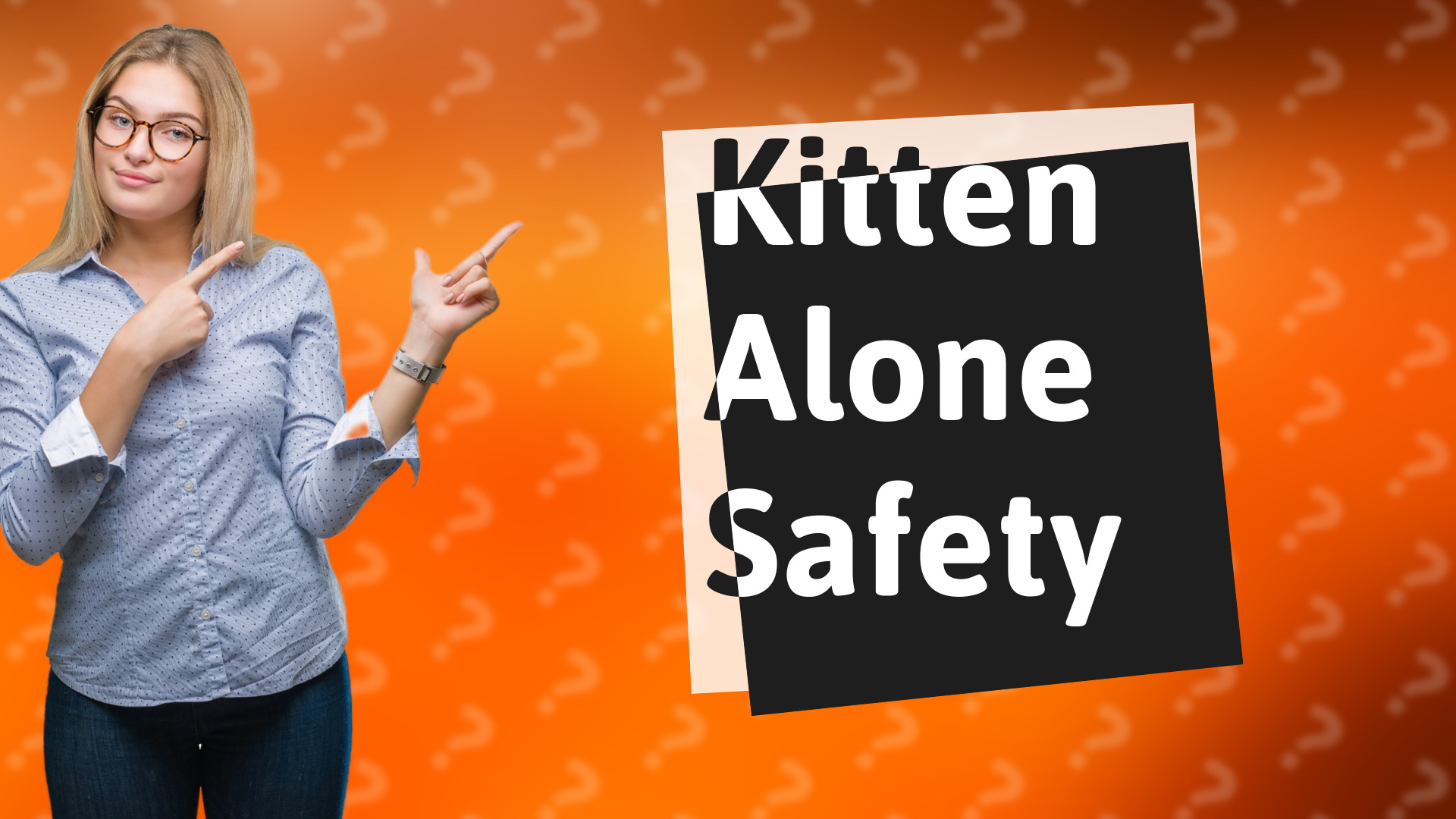 Kitten Alone Safety
