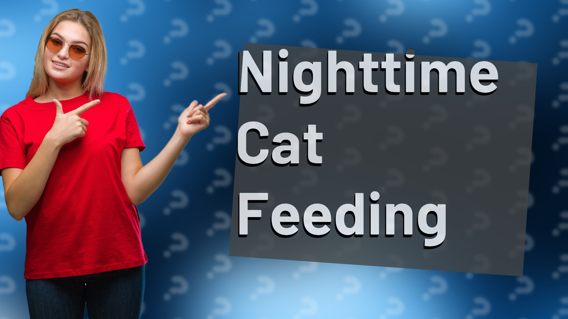 Nighttime Cat Feeding