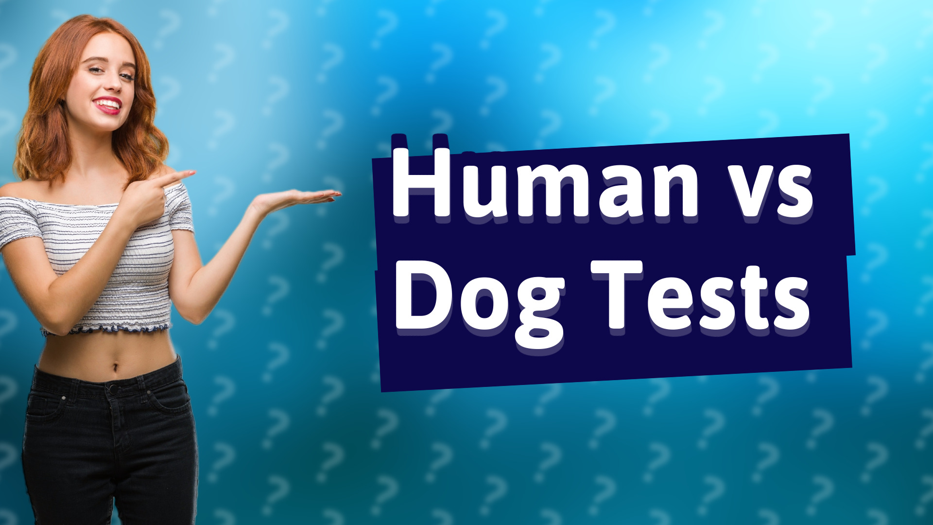 Human vs Dog Tests