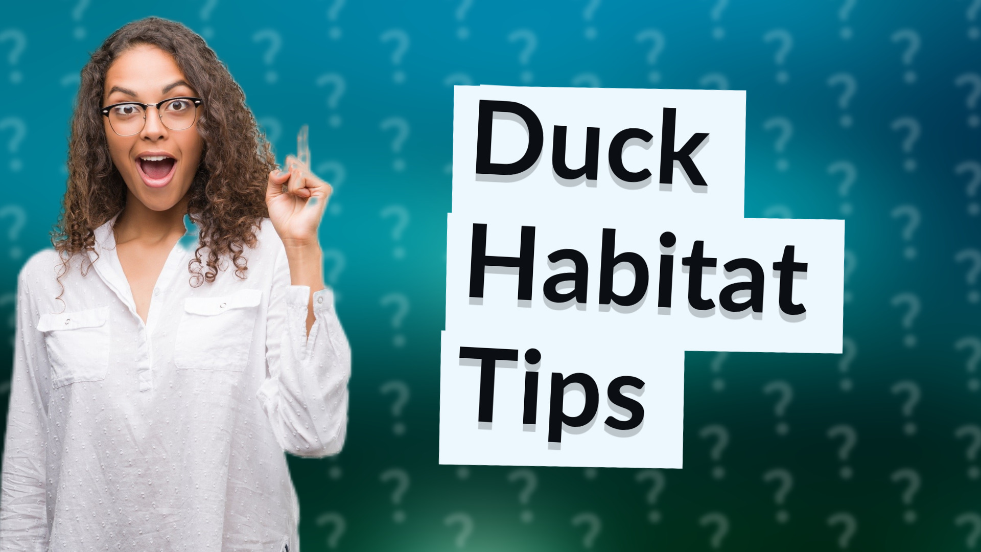 Duck Habitat Tips