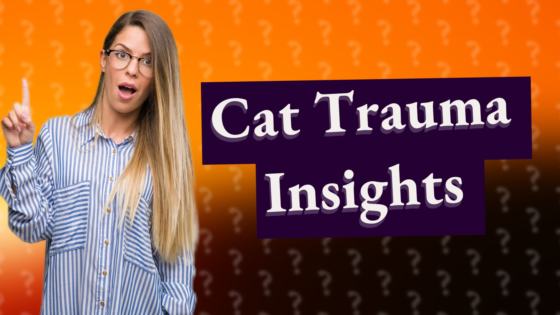 Cat Trauma Insights