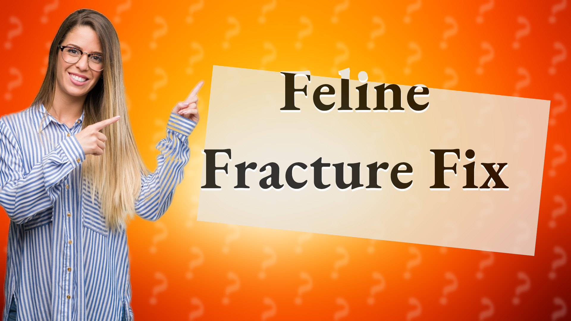 Feline Fracture Fix