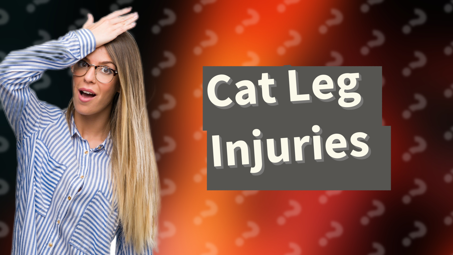 Cat Leg Injuries