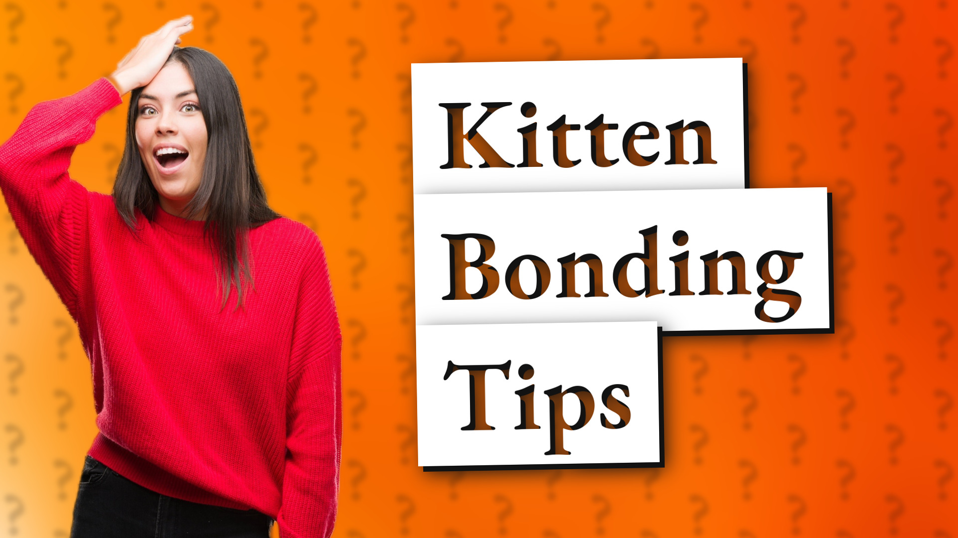 Kitten Bonding Tips