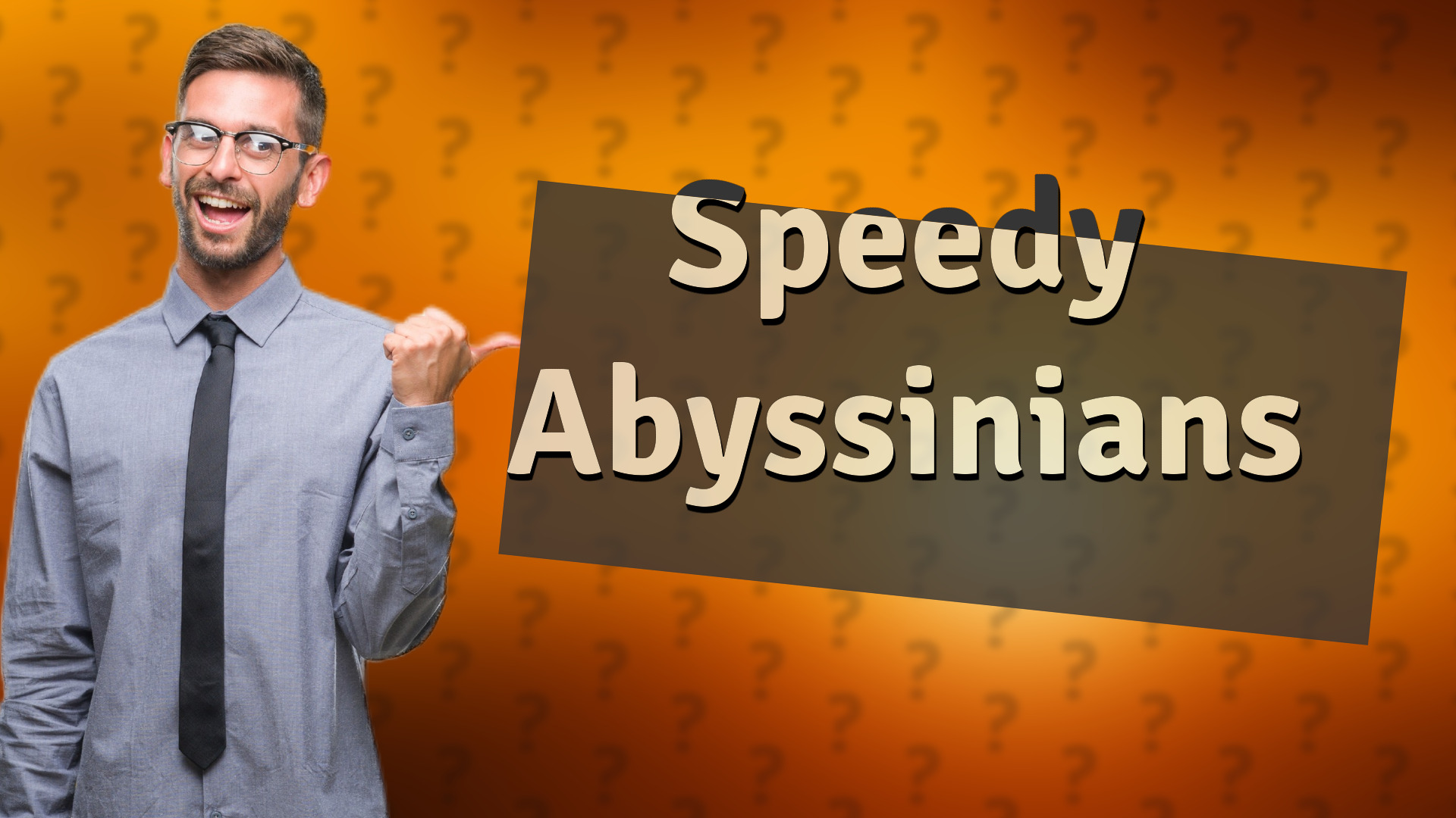 Speedy Abyssinians