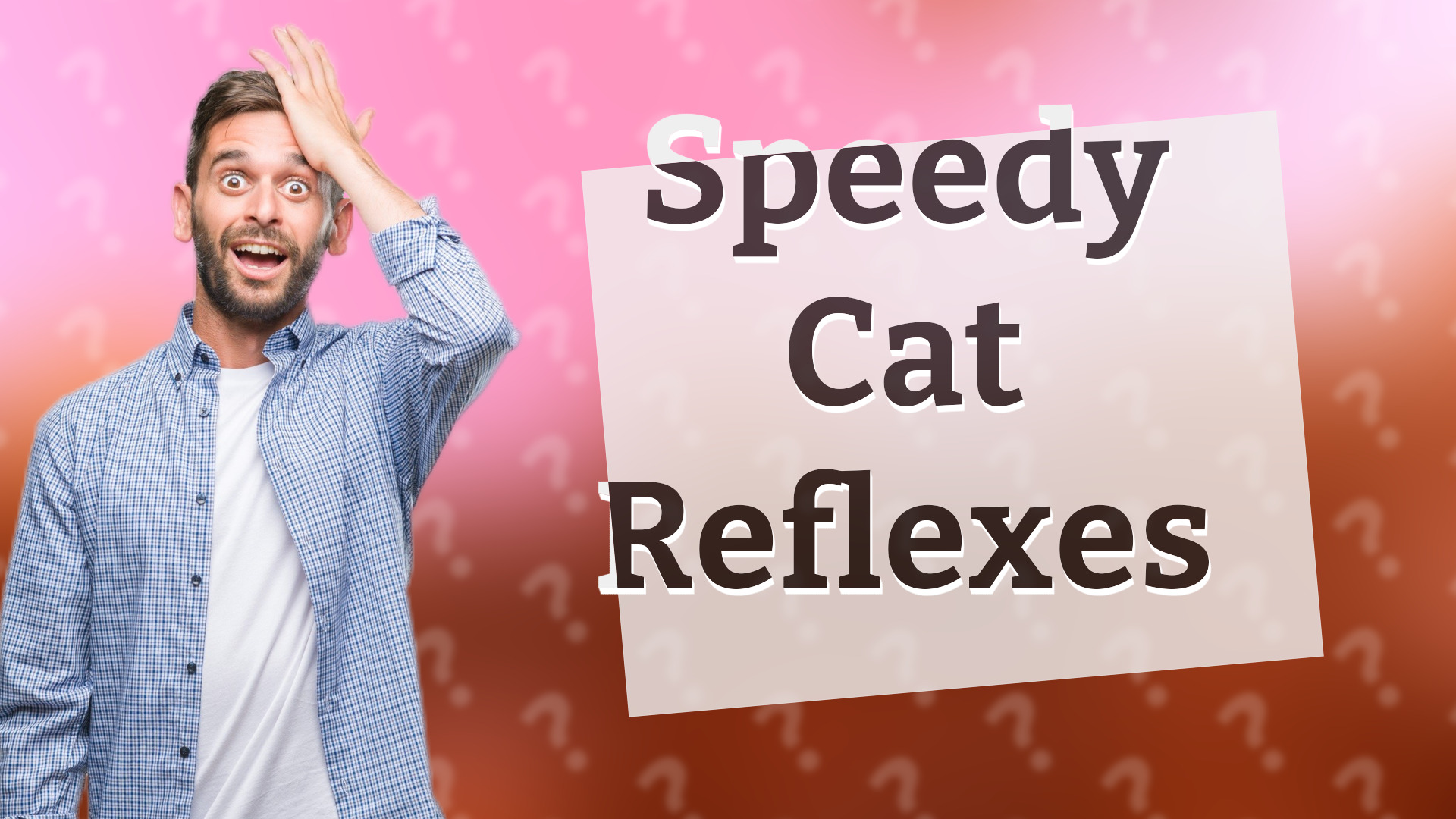 Speedy Cat Reflexes