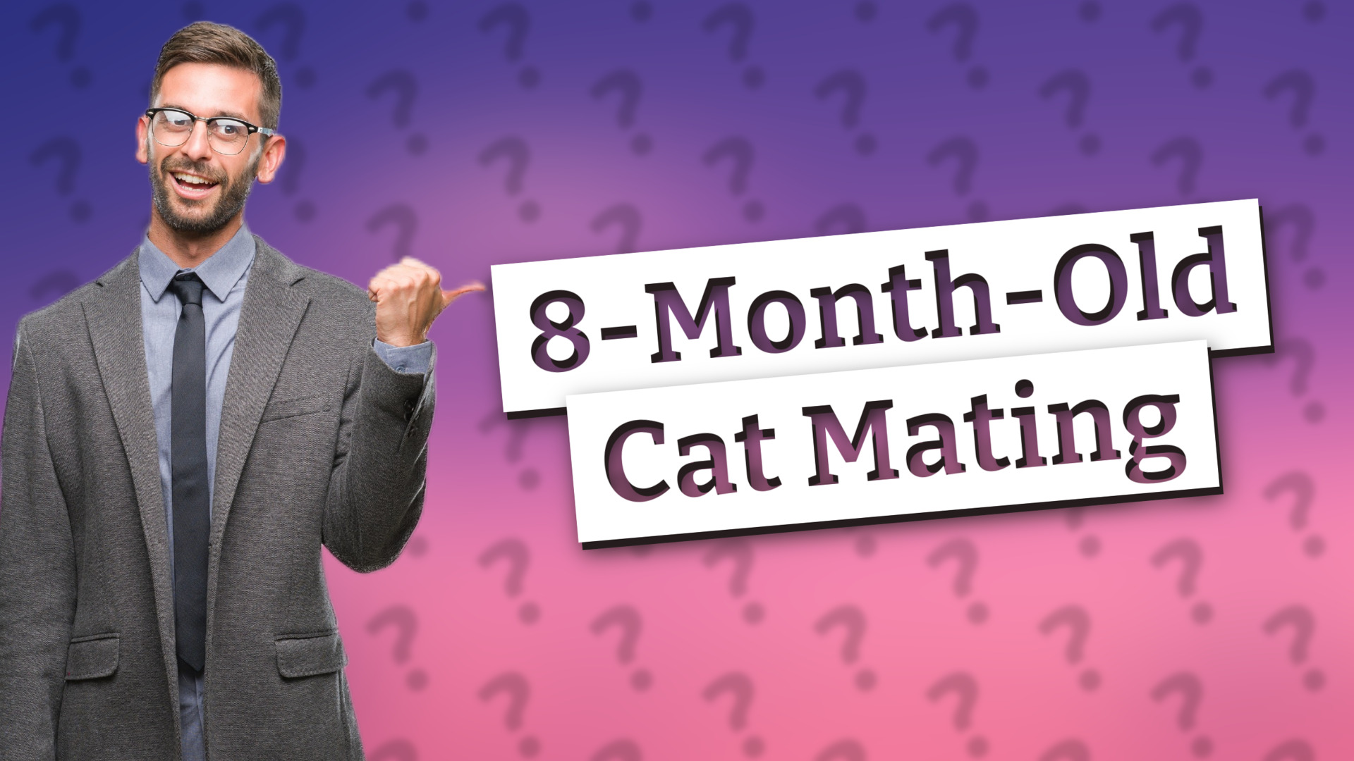 8-Month-Old Cat Mating