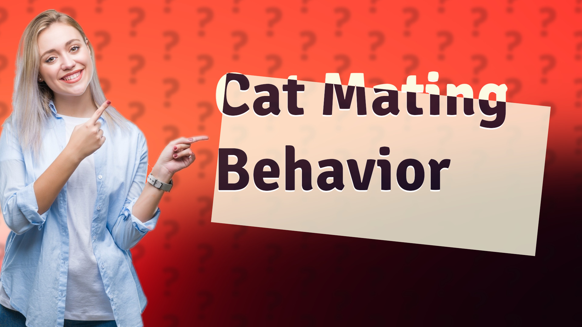 Cat Mating Behavior