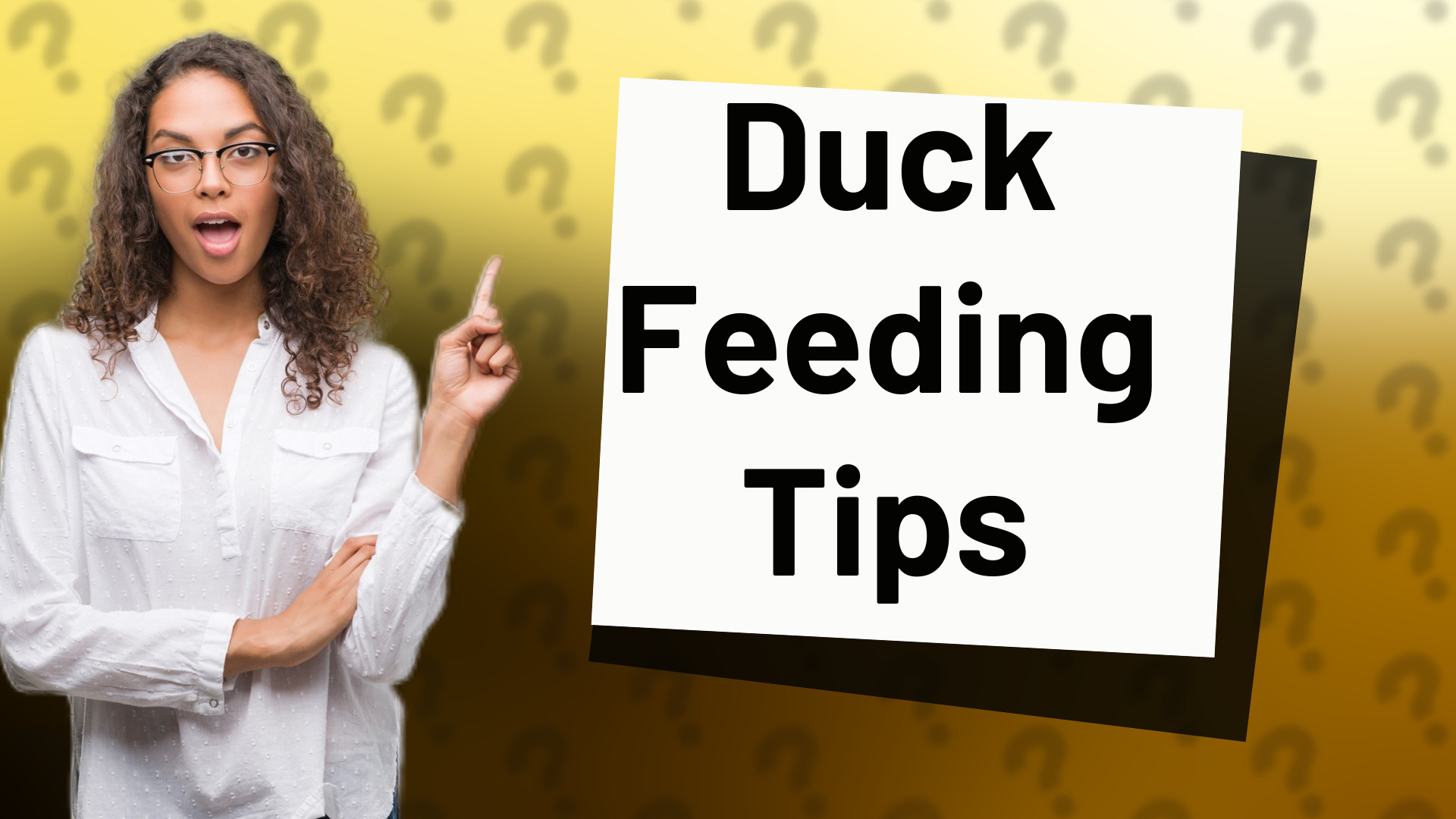 Duck Feeding Tips
