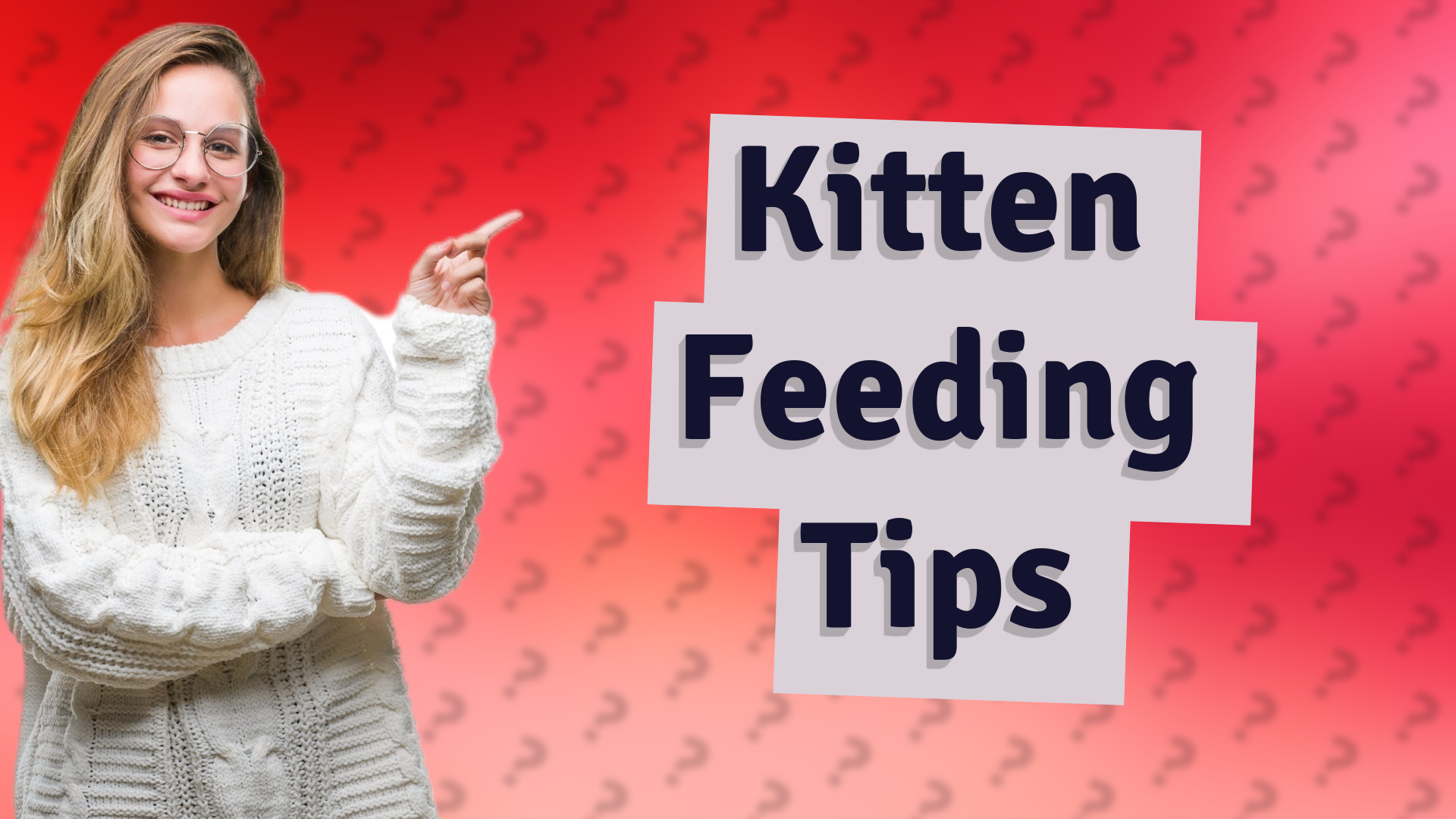 Kitten Feeding Tips
