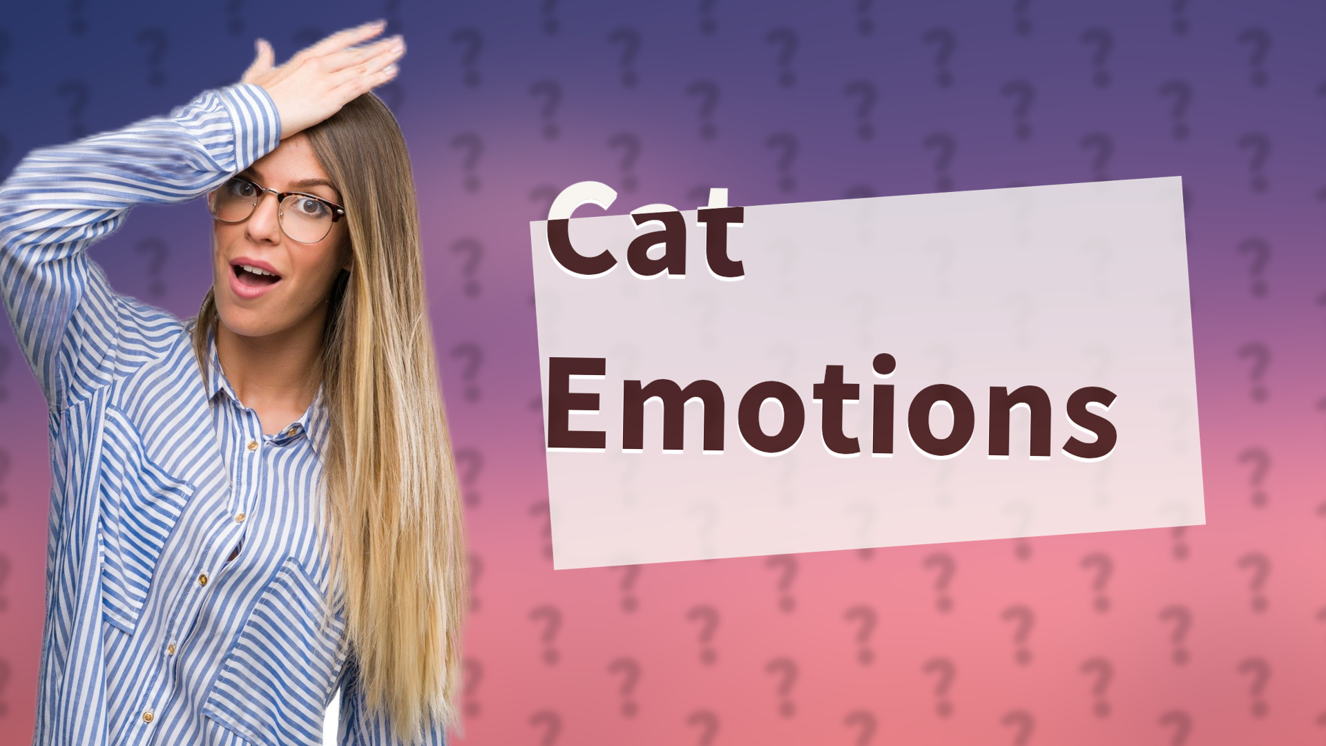 Cat Emotions