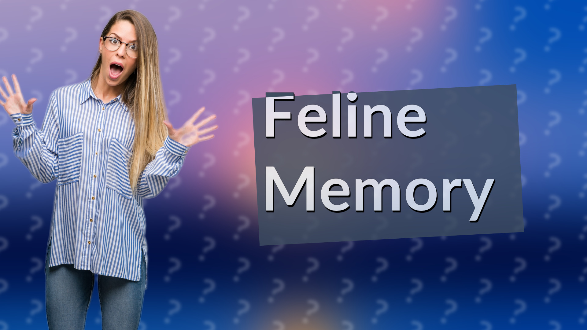 Feline Memory