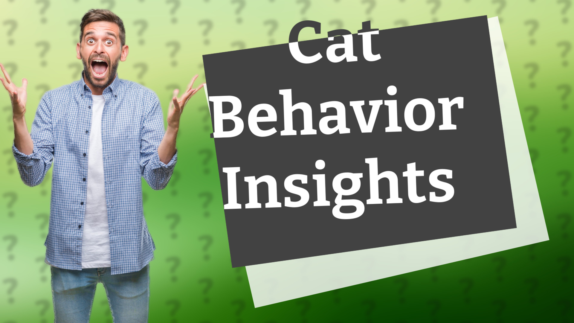 Cat Behavior Insights