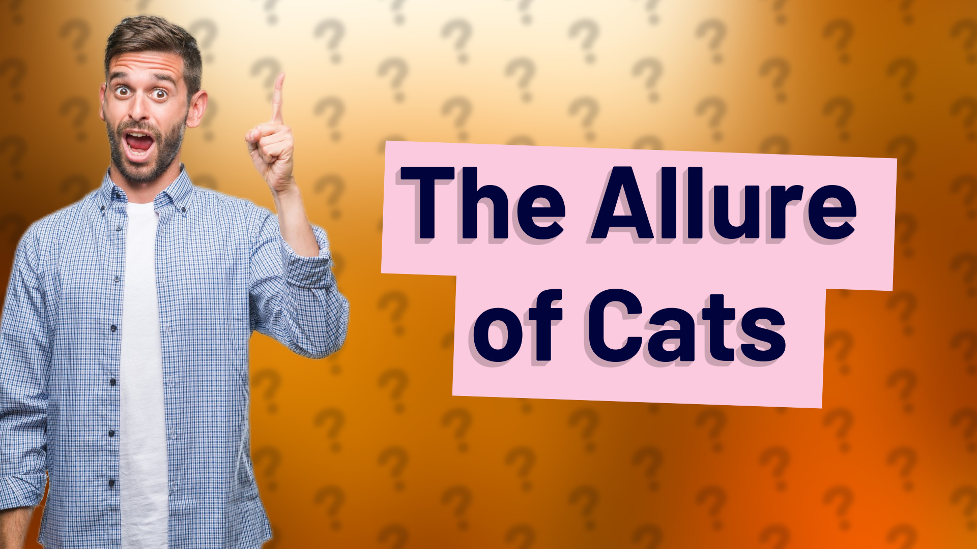 The Allure of Cats