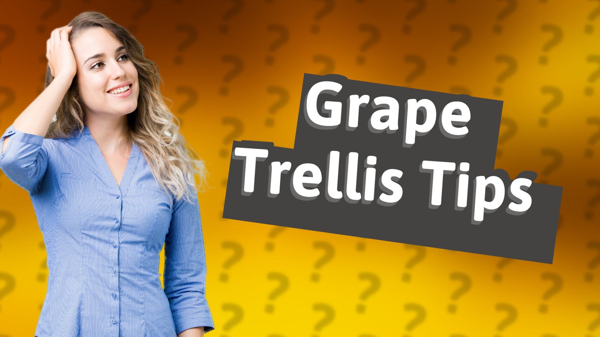 Grape Trellis Tips