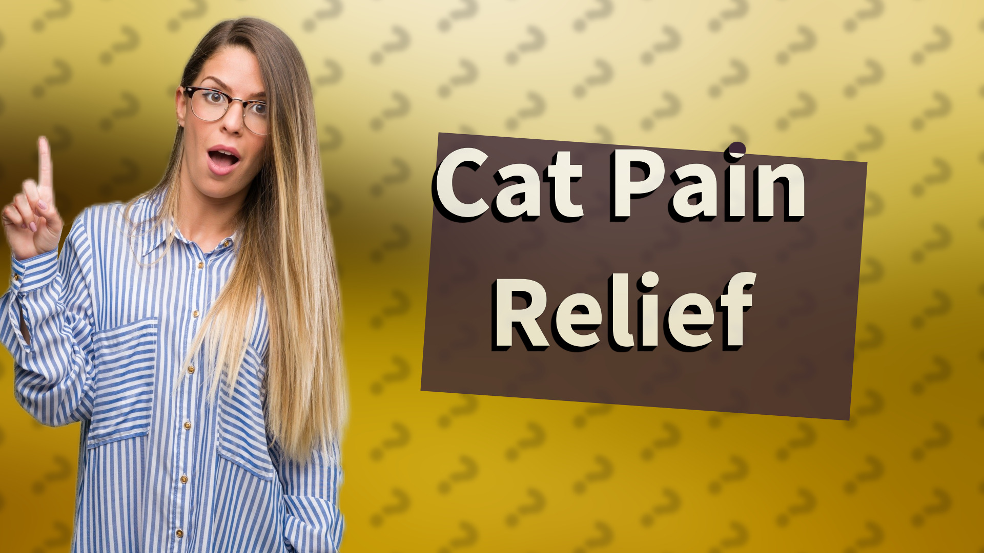 Cat Pain Relief
