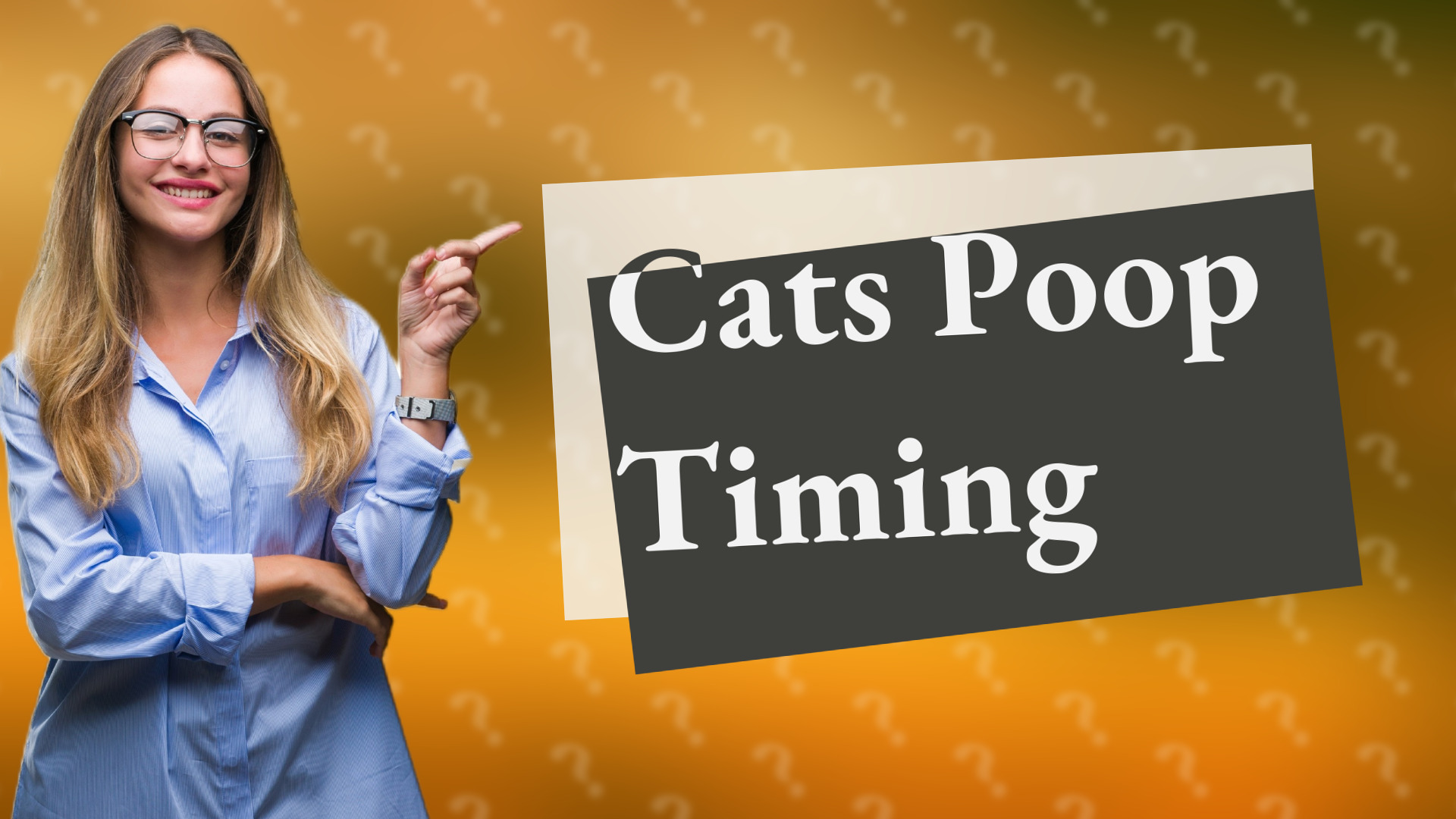 Cats Poop Timing