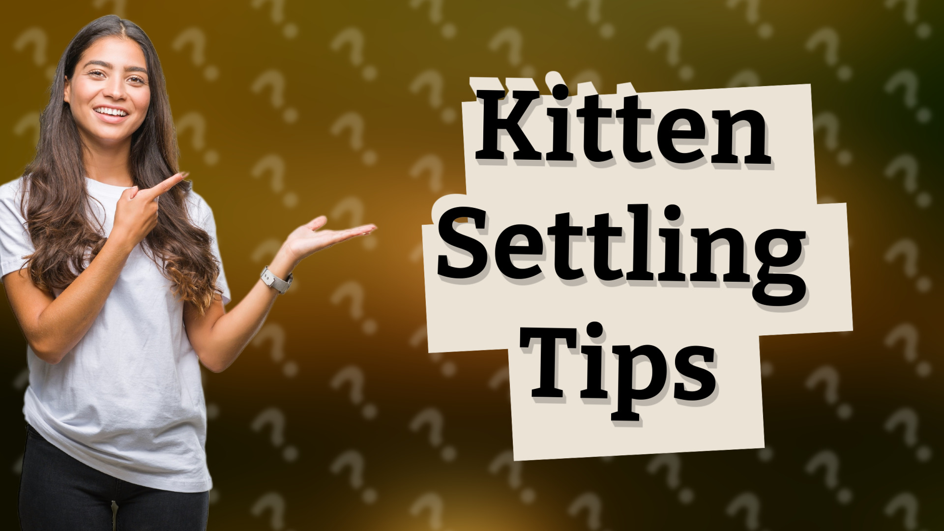 Kitten Settling Tips