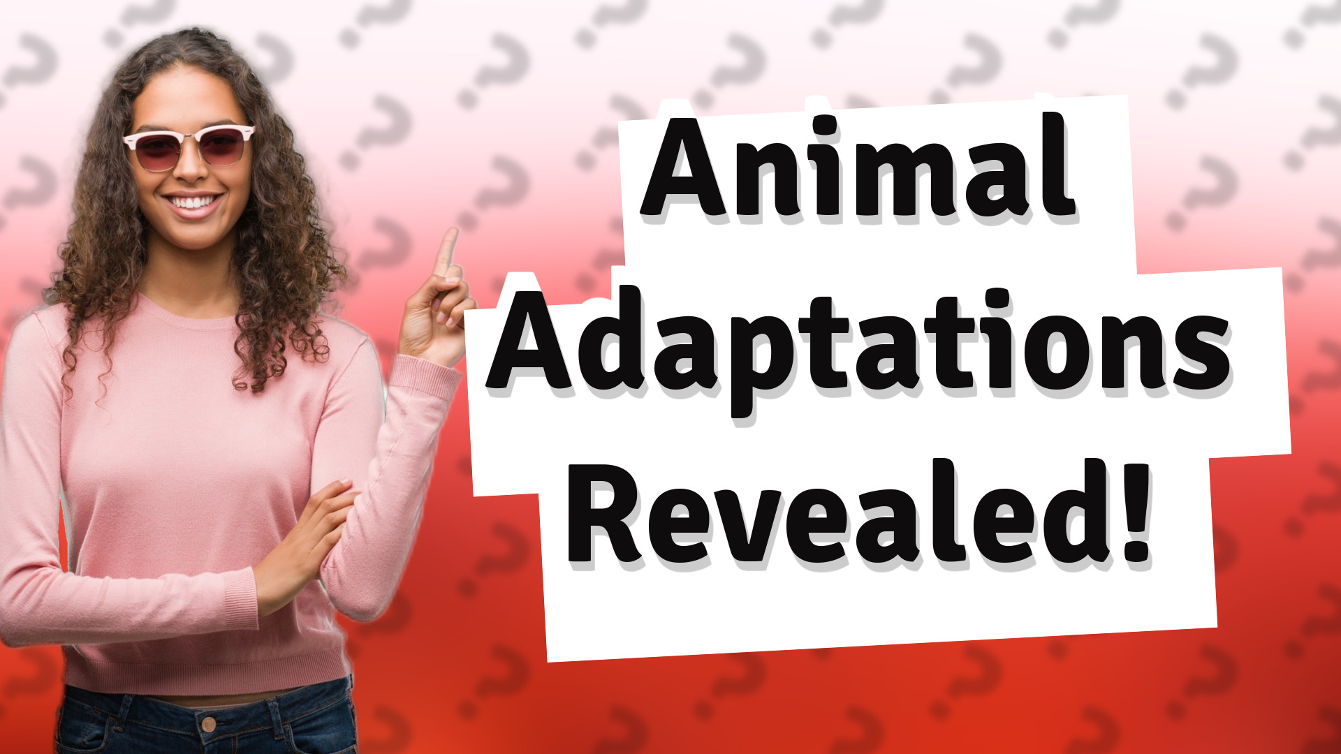 Animal Adaptations Revealed!