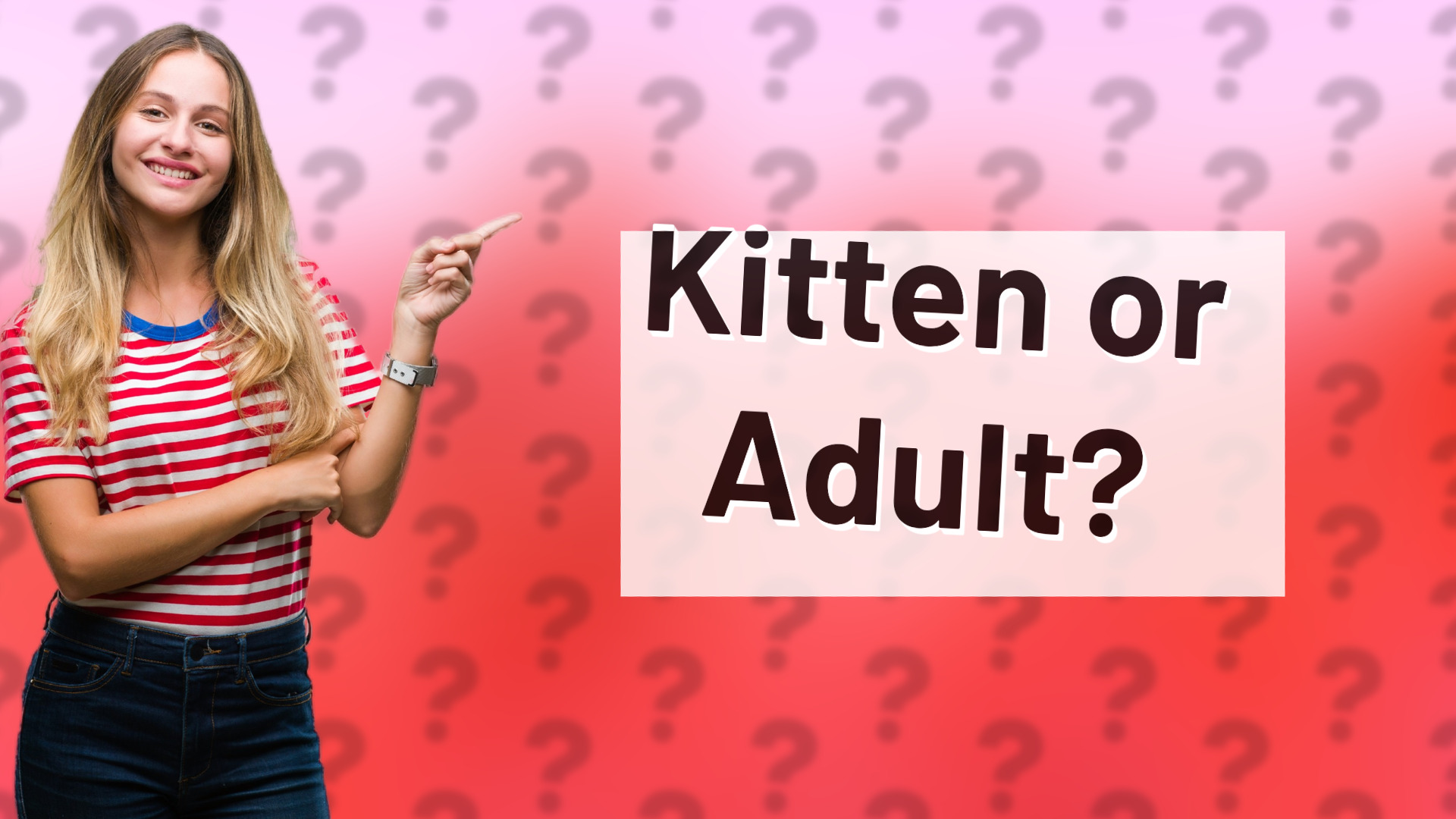 Kitten or Adult?