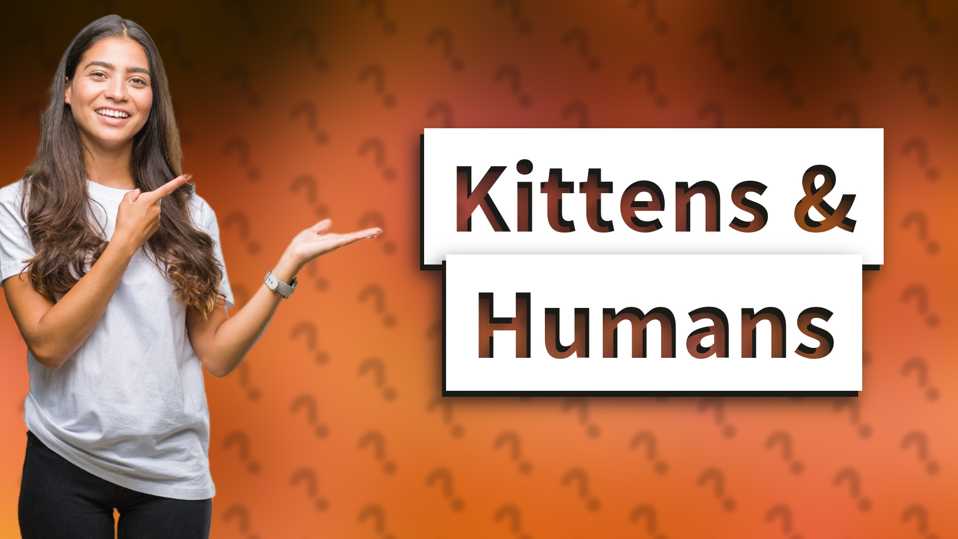 Kittens & Humans