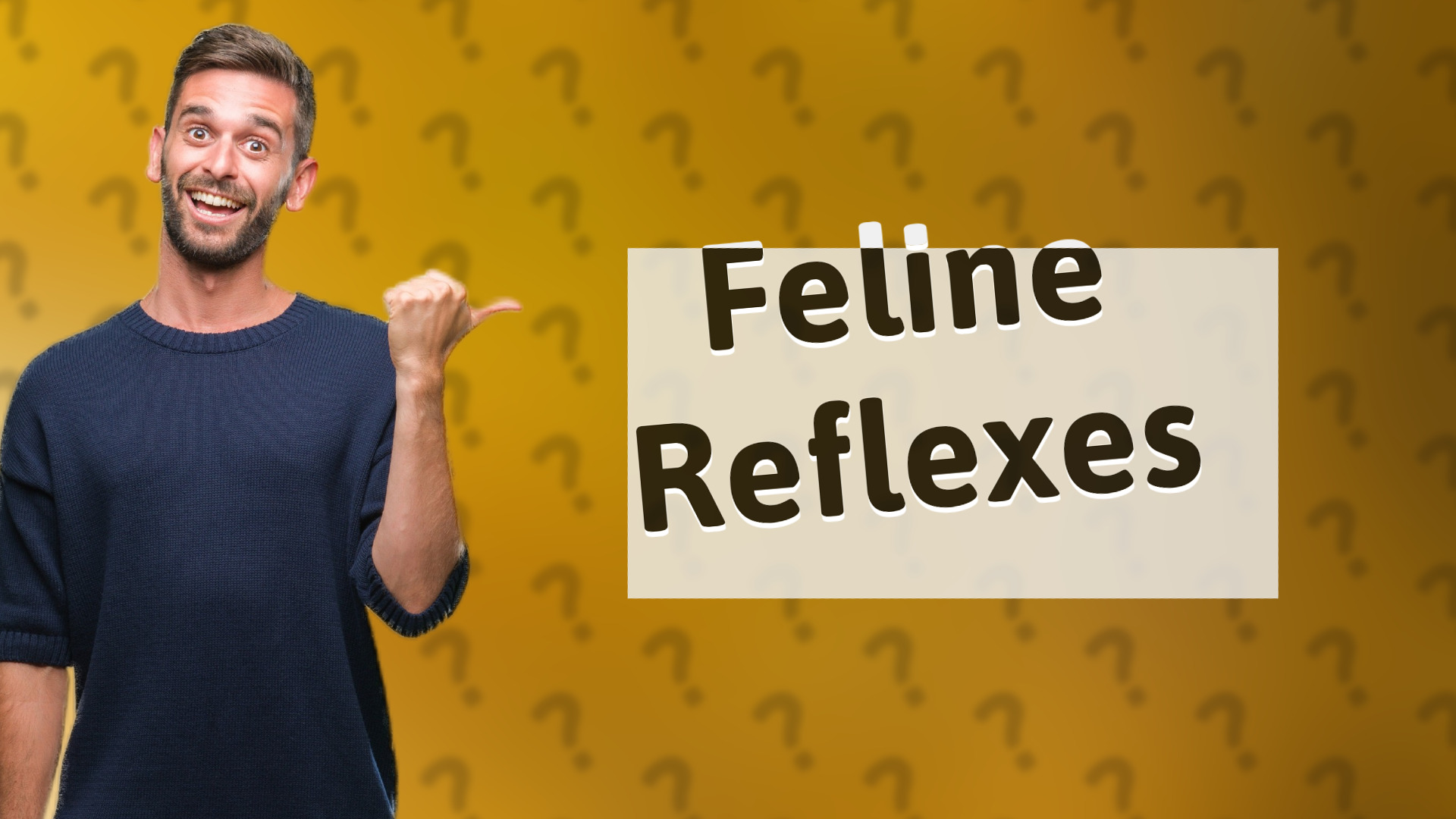 Feline Reflexes