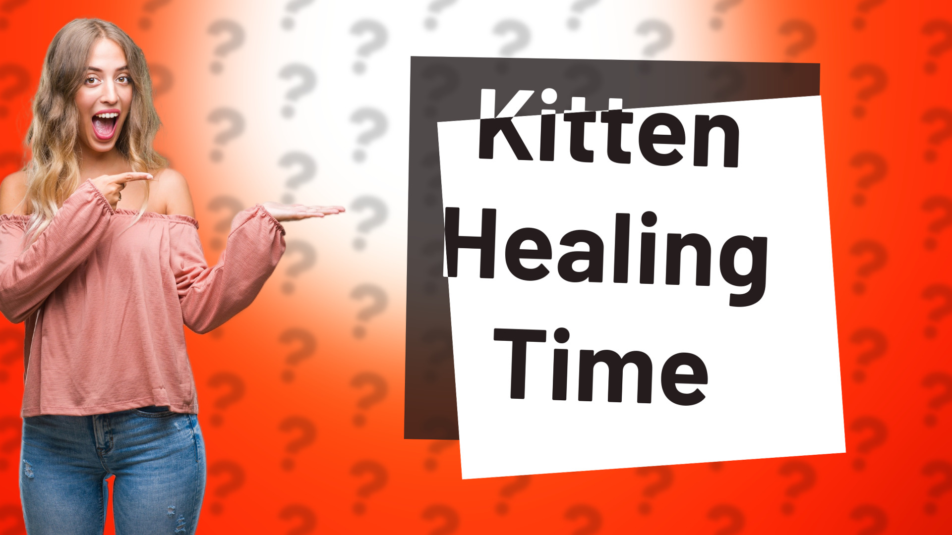 Kitten Healing Time