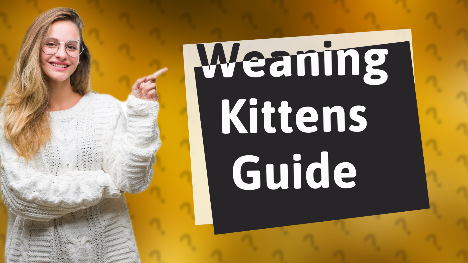 Weaning Kittens Guide