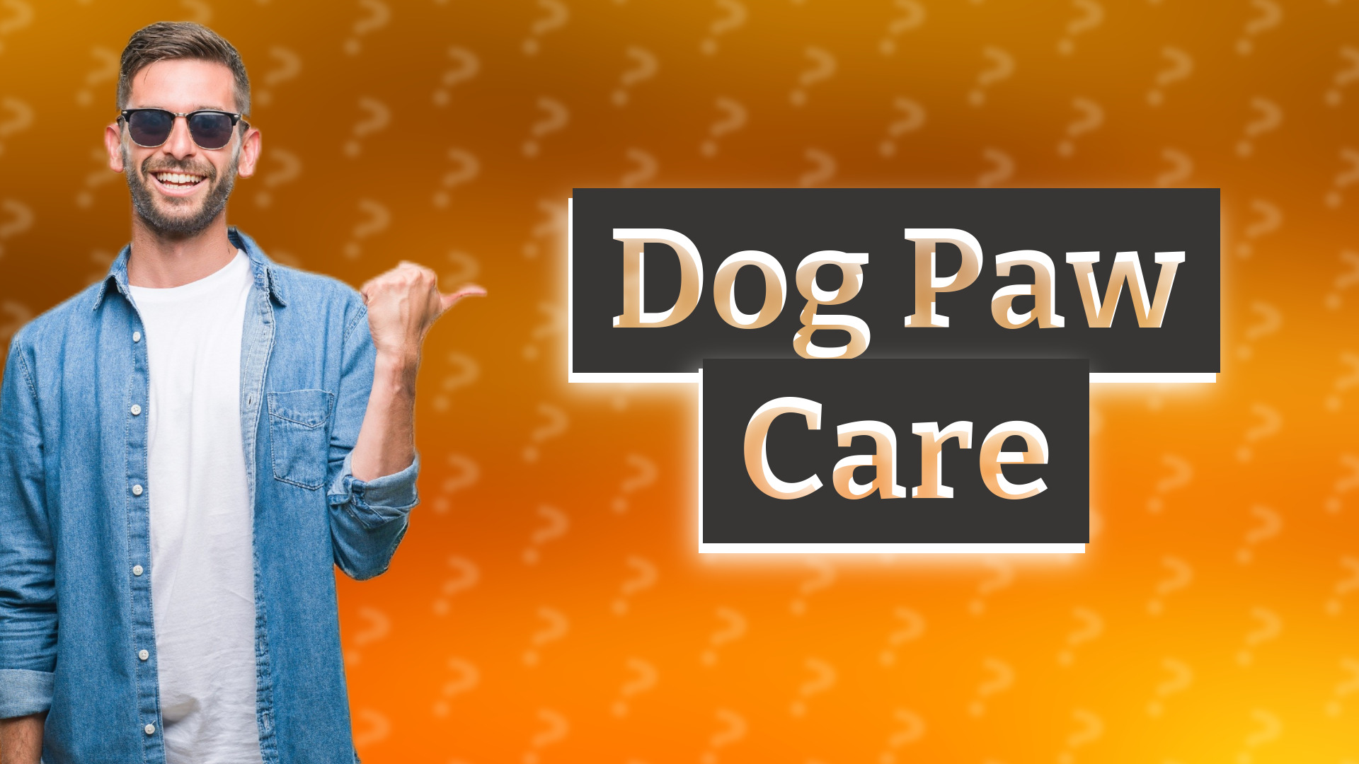 Dog Paw Care