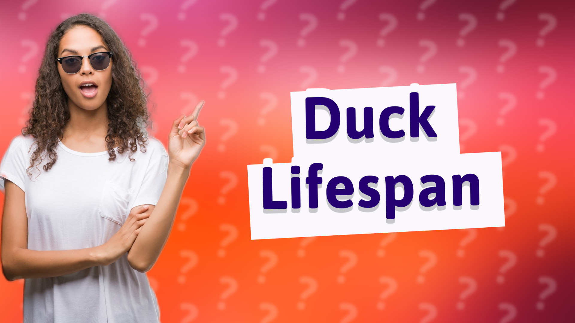 Duck Lifespan