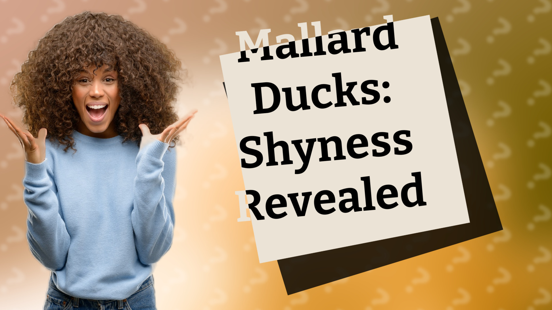 Mallard Ducks: Shyness Revealed