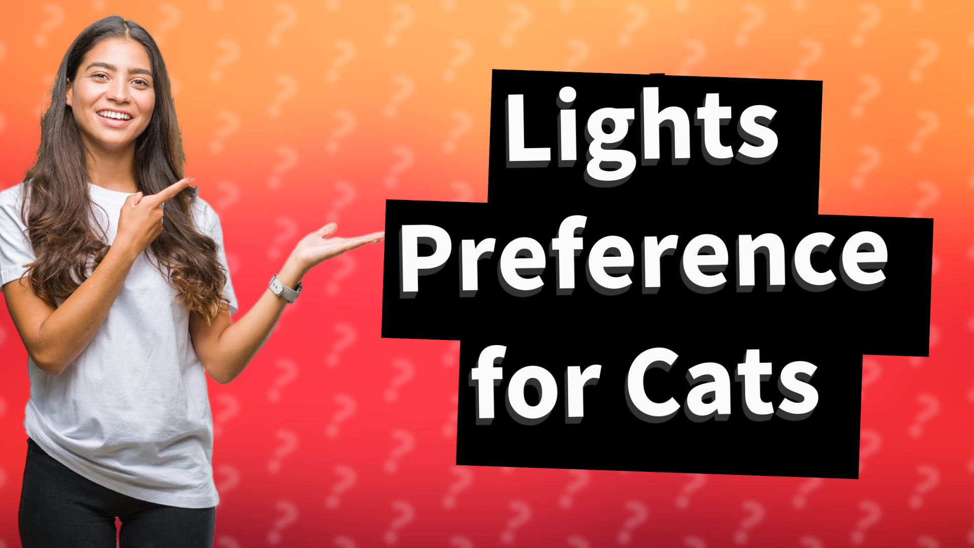 Lights Preference for Cats