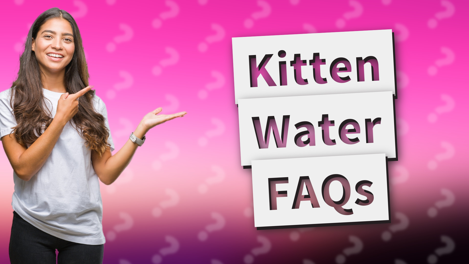 Kitten Water FAQs
