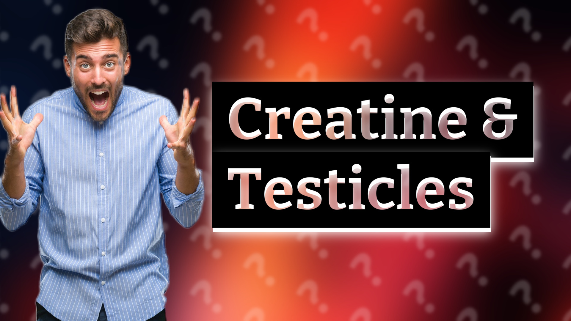 Creatine & Testicles
