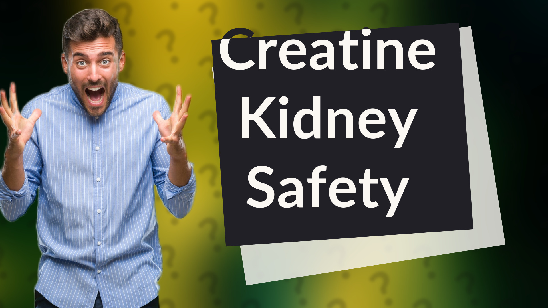 Creatine Kidney Safety