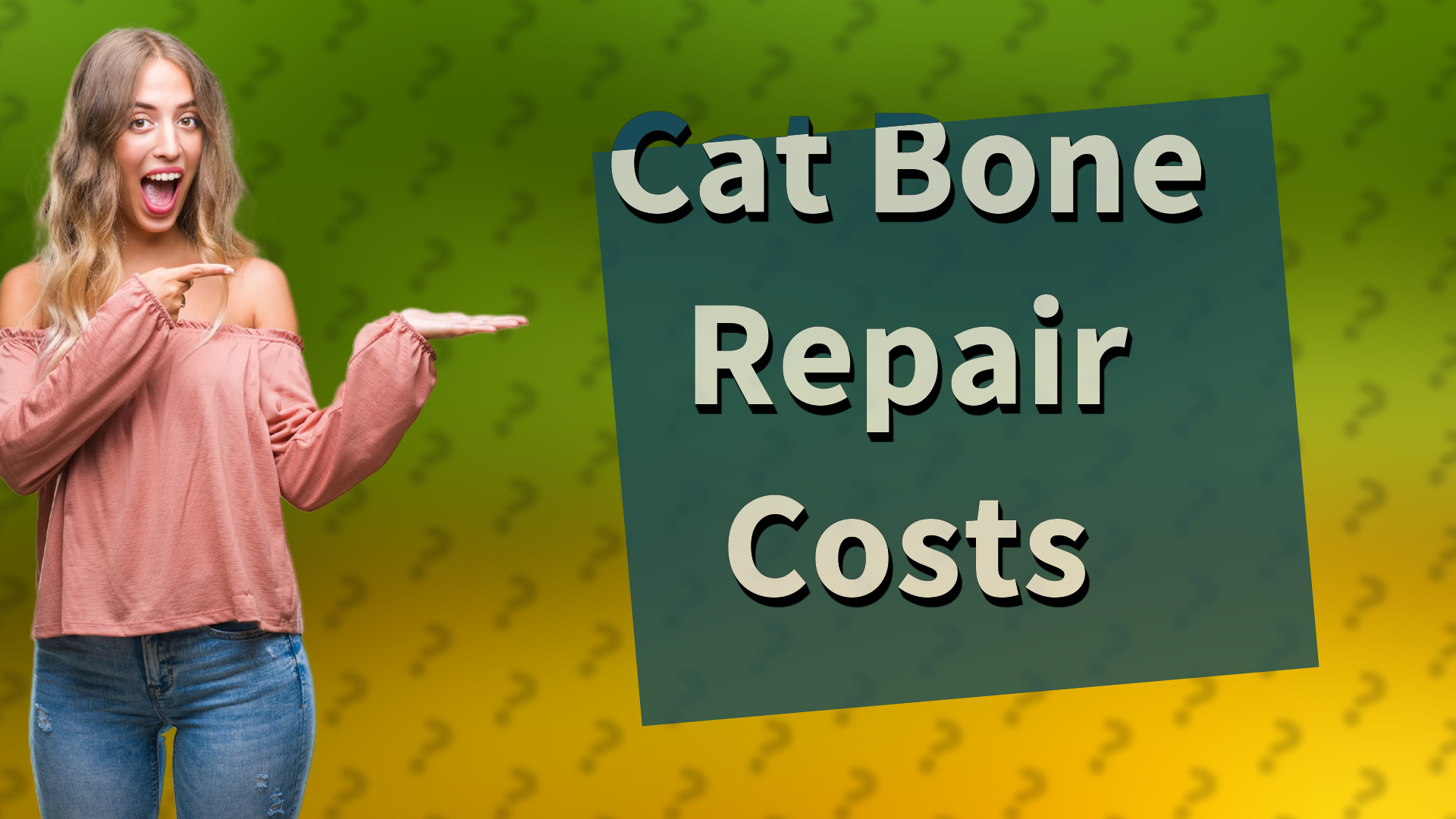 Cat Bone Repair Costs
