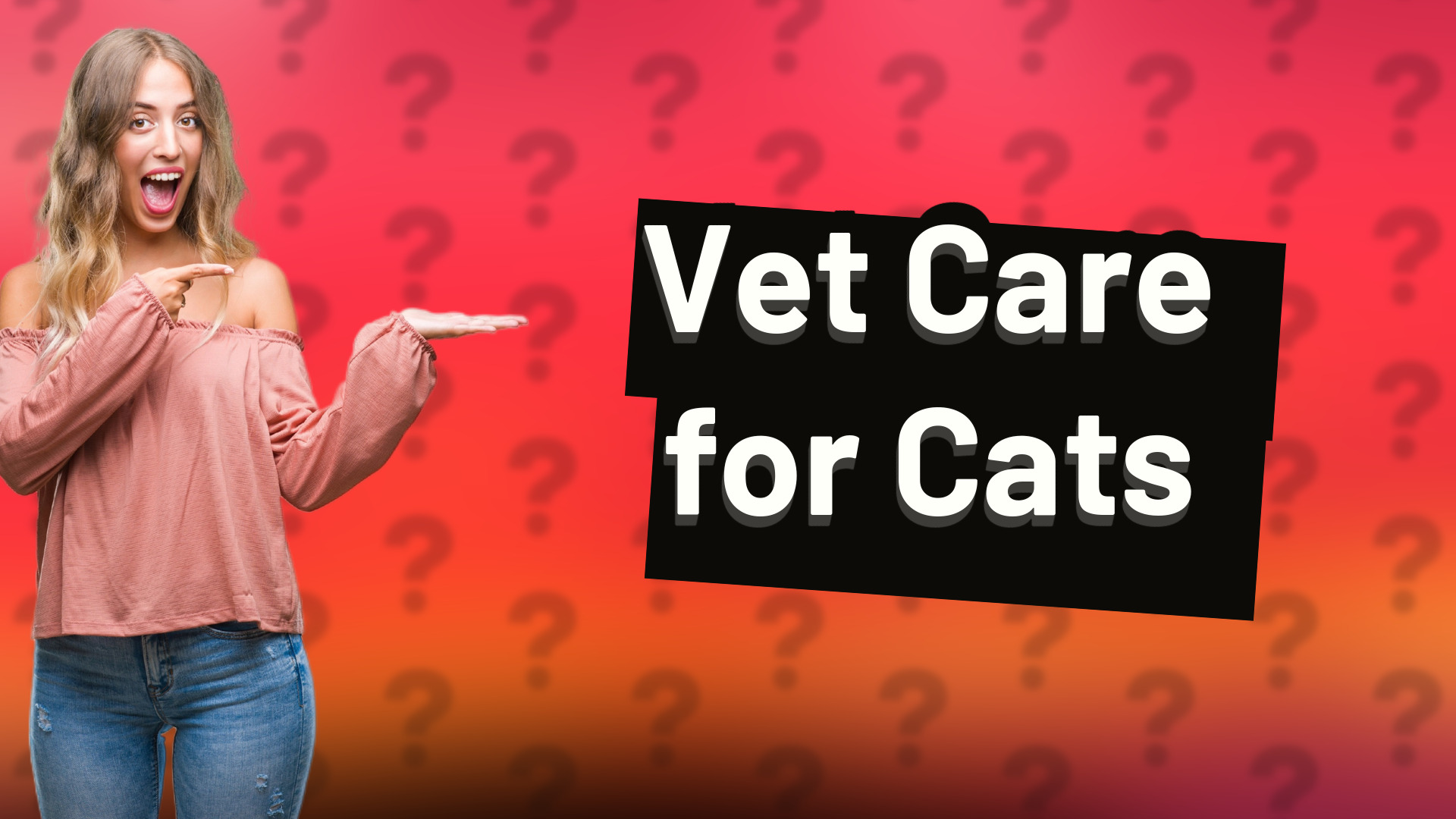 Vet Care for Cats