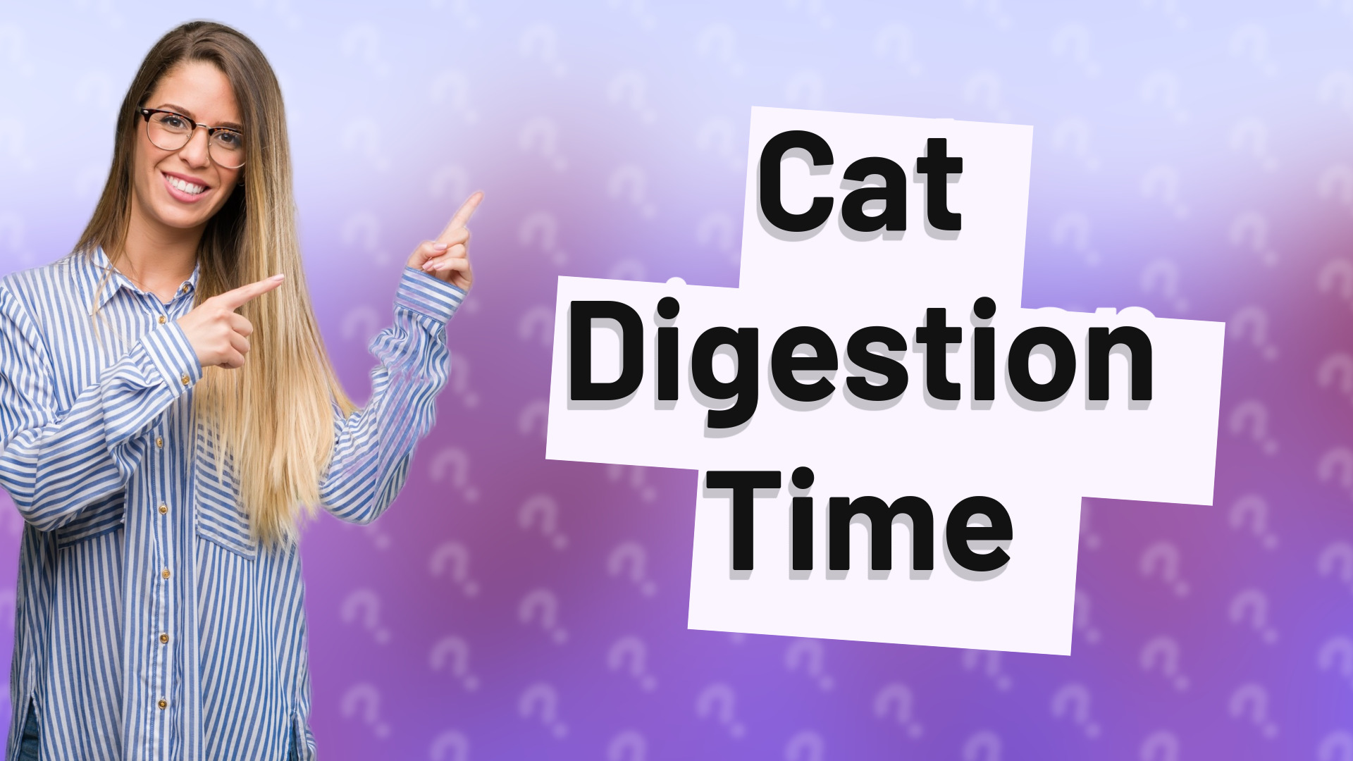 Cat Digestion Time