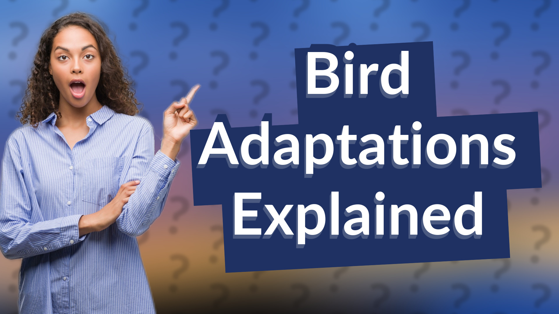 Bird Adaptations Explained