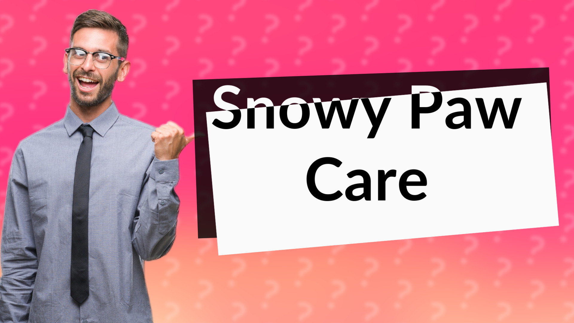 Snowy Paw Care