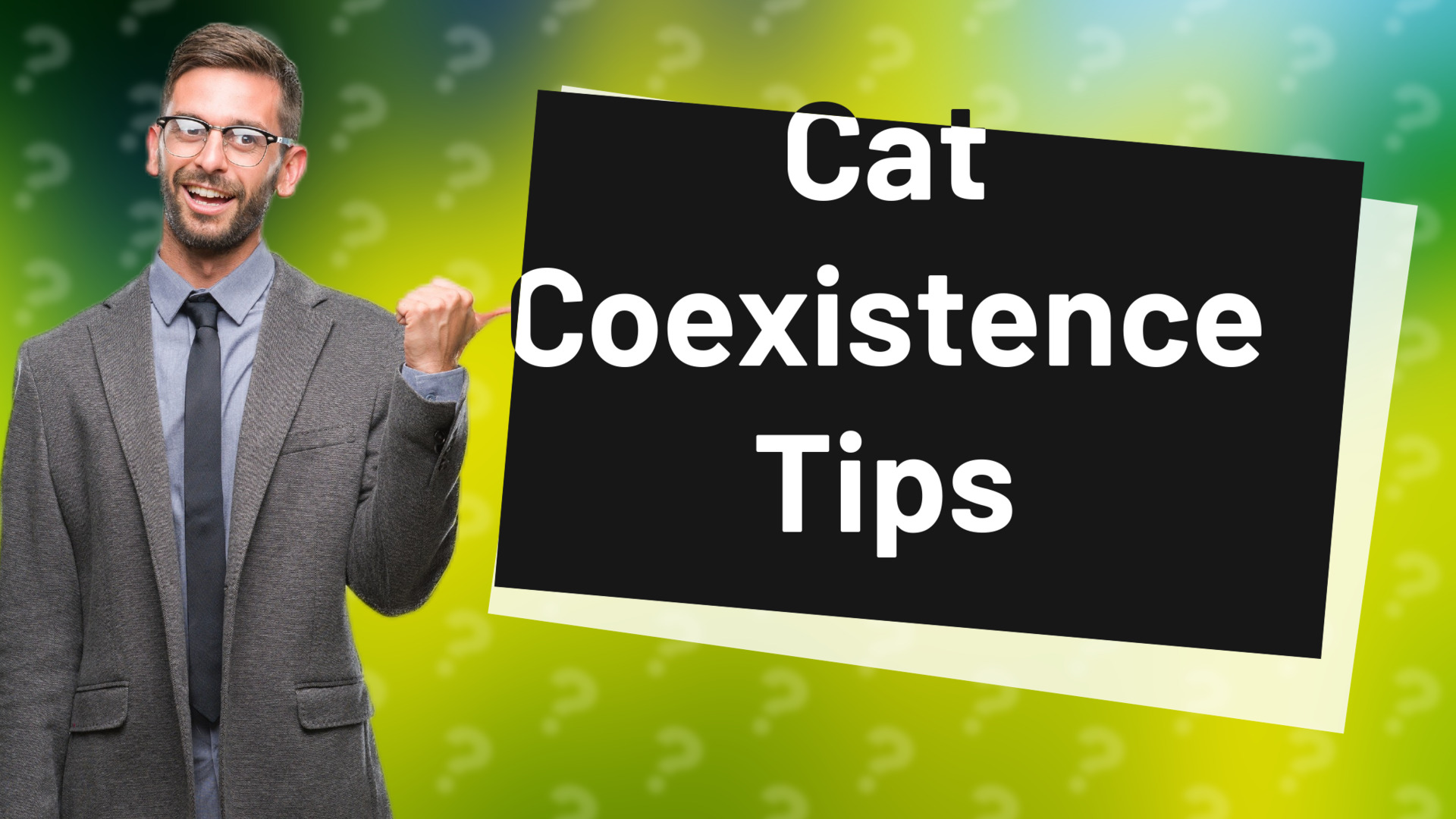 Cat Coexistence Tips